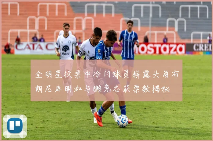 全明星投票中冷门球员崭露头角布朗尼库明加与獭兔各获票数揭秘